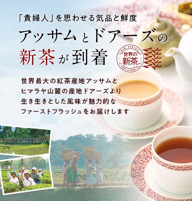 LUPICIA】アッサム＆ドアーズの新茶が到着: | LUPICIA ONLINE STORE