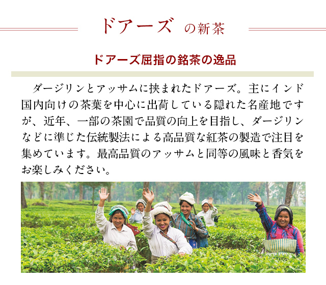 シュトラール　アジア版　1枚 チェイム　アジア版3枚 シュトラールアジア版1枚 チェイムアジア版3枚