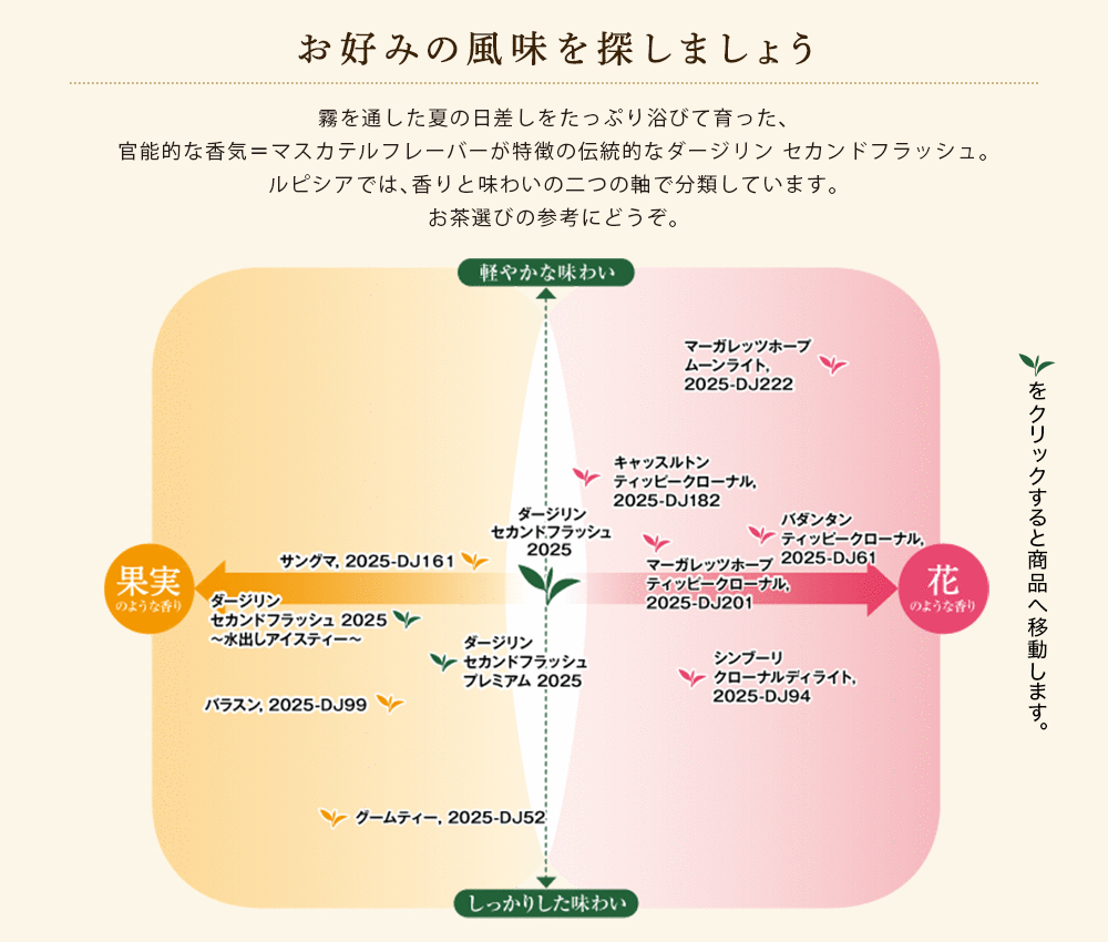 テイスティングチャート 2025