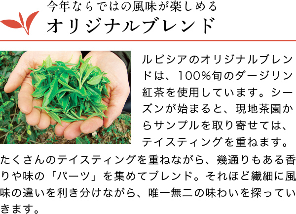 LUPICIA】ダージリン セカンドフラッシュ 2025: | LUPICIA ONLINE