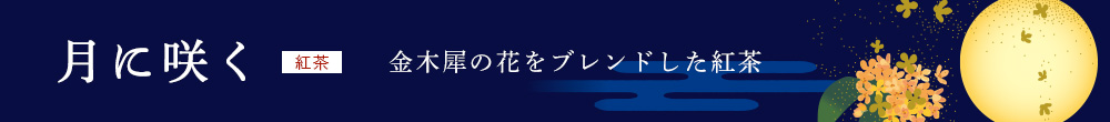 ɍ炭