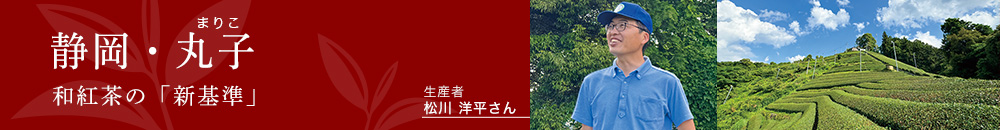 静岡・丸子