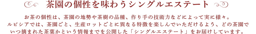 �����̌��𖡂키�V���O���G�X�e�[�g