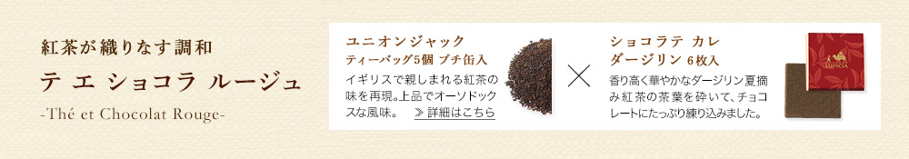 �e �G �V���R�� ���[�W��