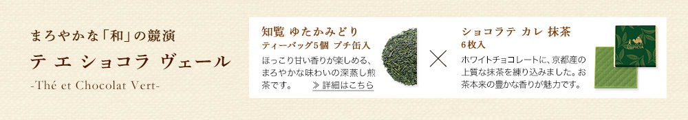 �e �G �V���R�� ���F�[��