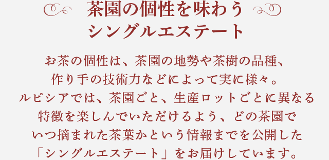 LUPICIA】ダージリン オータムナル: | LUPICIA ONLINE STORE - 世界の