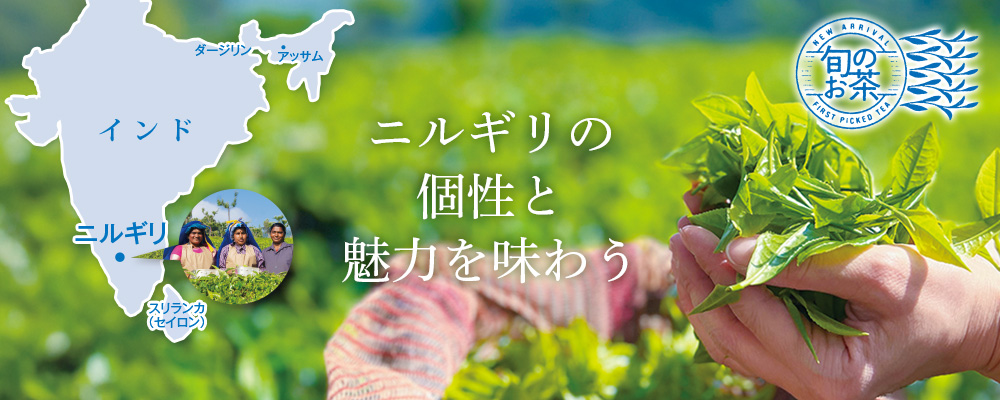 �j���M���̌��Ɩ��͂𖡂키