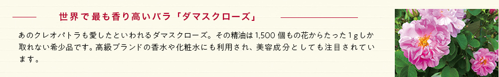 ���E�ōł����荂���o���u�_�}�X�N���[�Y�v