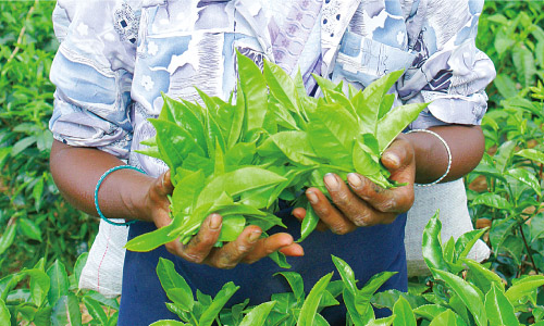 �V�������I