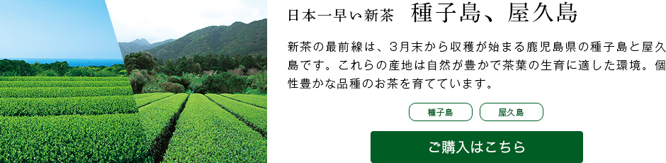 ��q���A���v��