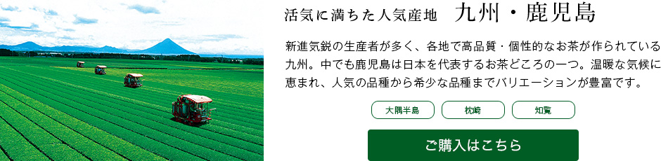 ��B�E������