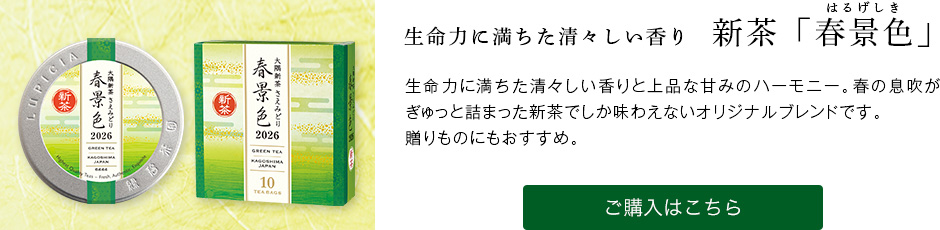 �V���u�t�i�F�v