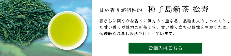 ��q���V�� ����