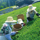 ���s�E�F��