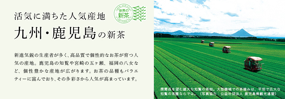 ��B�E�������̐V��