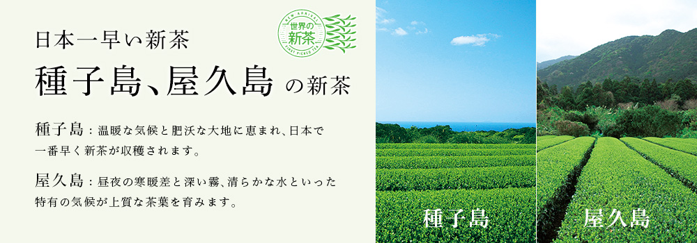 ��q���A���v���̐V��