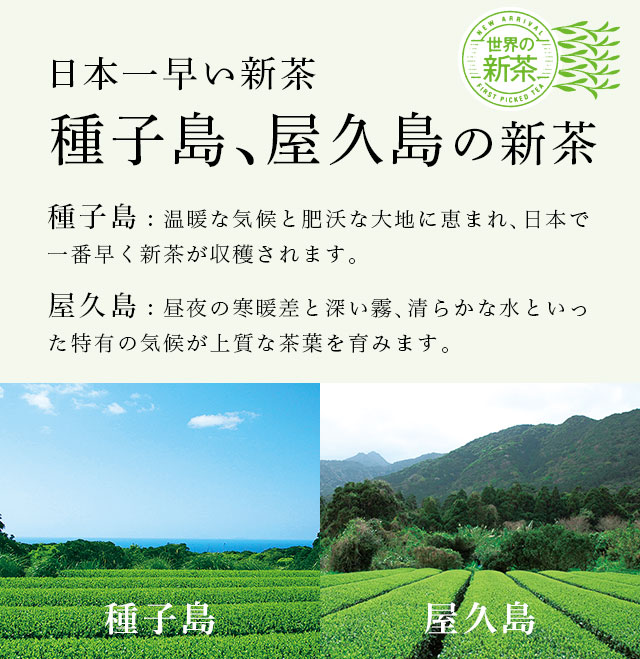 LUPICIA】日本新茶2026 ～種子島、屋久島～: | LUPICIA ONLINE STORE