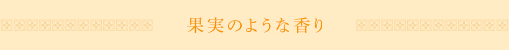 �ʎ��̂悤�ȍ���