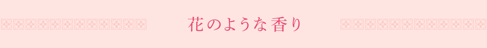 �Ԃ̂悤�ȍ���