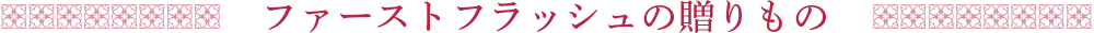 �t�@�[�X�g�t���b�V���̑������