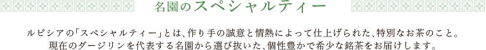 名園のスペシャルティー