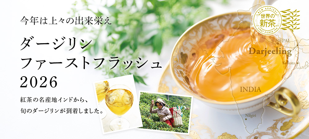 ダージリン ファーストフラッシュ