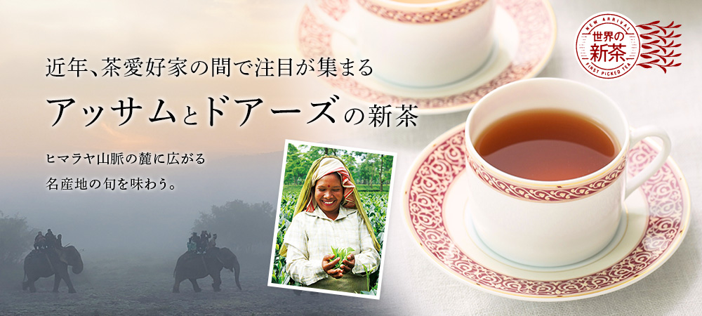 アッサムとドアーズの新茶