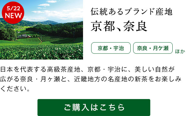 LUPICIA】日本新茶 2026: | LUPICIA ONLINE STORE - 世界のお茶専門店