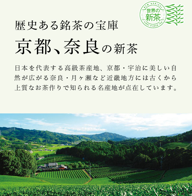 LUPICIA】日本新茶2026 ～京都、奈良～: | LUPICIA ONLINE STORE