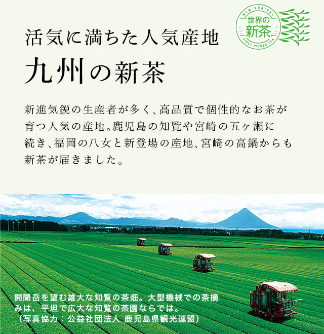 LUPICIA】日本新茶2026 ～九州～: | LUPICIA ONLINE STORE - 世界の