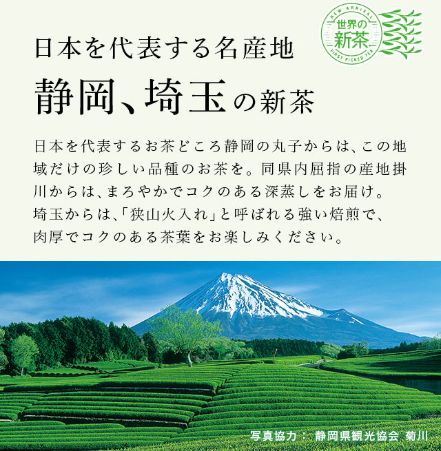 LUPICIA】日本新茶2026 ～静岡、埼玉～: | LUPICIA ONLINE STORE