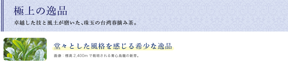 �ɏ�̈�i