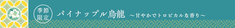 �p�C�i�b�v���G��