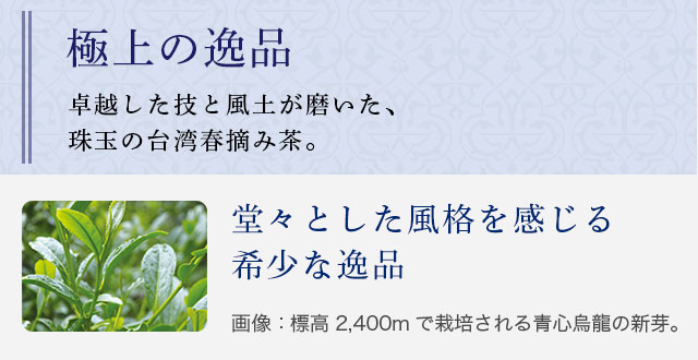 LUPICIA】台湾春摘み烏龍茶: | LUPICIA ONLINE STORE - 世界のお茶専門