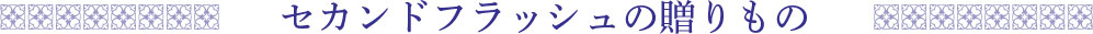 �t�@�[�X�g�t���b�V���̑������