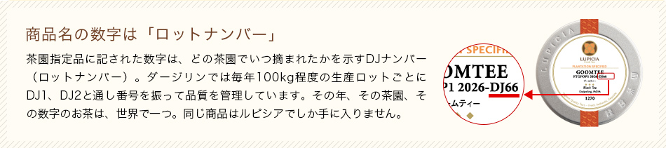 ���i���̐����́u���b�g�i���o�[�v