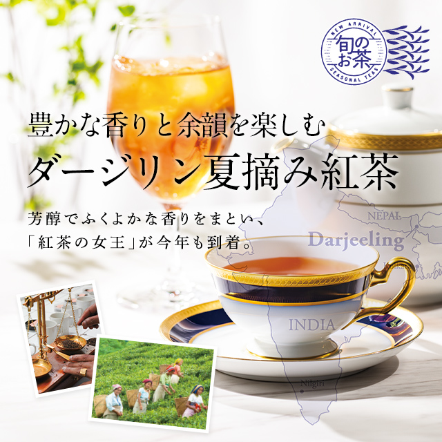 ルピシア　ダージリンセット LUPICIA】ダージリン 夏摘み紅茶 2026: | LUPICIA ONLINE STORE - 世界