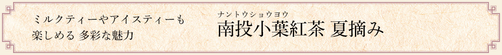 �쓊���t�g�� �ēE��