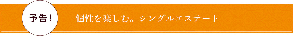 �V���O���G�X�e�[�g