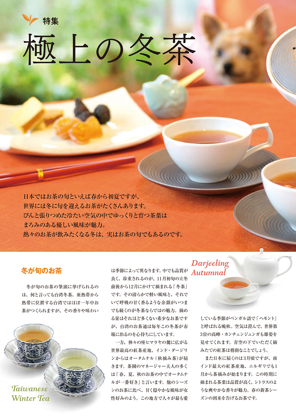 特集 極上の冬茶 ルピシアだより バックナンバー 2008年1月号 世界のお茶専門店 ルピシア 紅茶 緑茶 烏龍茶 ハーブ