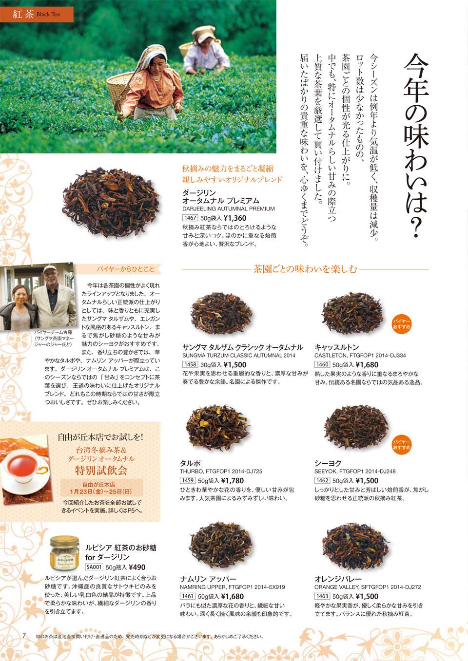 ルピシア 紅茶 ダージリン夏摘み ナムリンアッパー  キャッスルトン