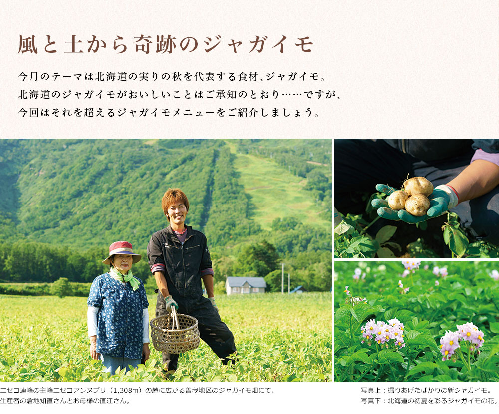 Lupicia Gourmand ルピシア グルマン通信10月号 Vol 86 特集 風と土から奇跡のジャガイモ Gourmand Online Store 食のセレクトショップ ルピシア グルマン Lupicia Gourmand ルピシア グルマン通信10月号 Vol 86 特集 風と土から奇跡のジャガイモ Gourmand Online Store 食のセレクトショップ ルピシア グルマン