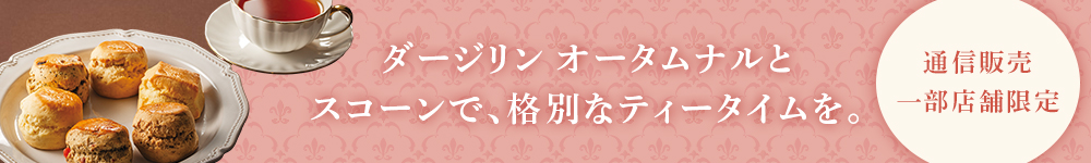スコーンおすすめ6個セット