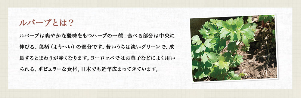 ルバーブとは?