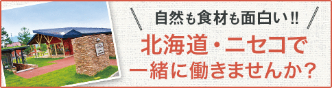 北海道･ニセコで一緒に働きませんか？