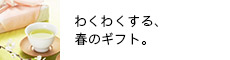 t̃Mtg
