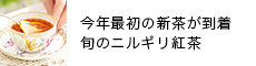 jMg