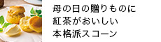 X̖{iXR[