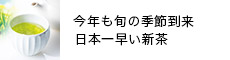 v̐VEq̐V