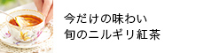jMg